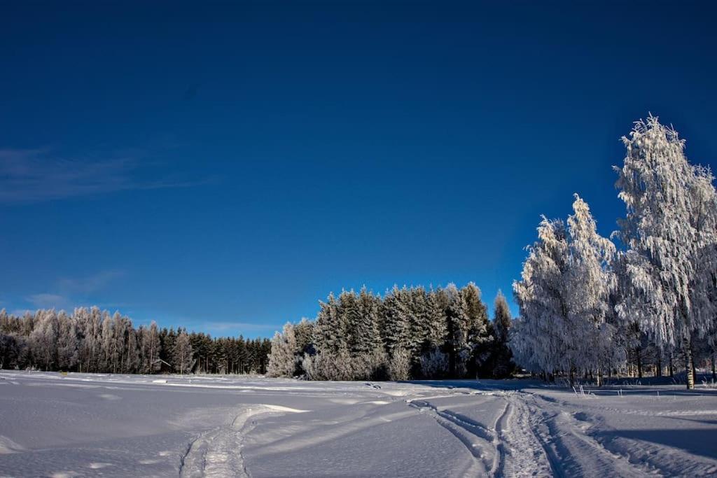 Northern Lights Lappland Villa Vuollerim Kültér fotó